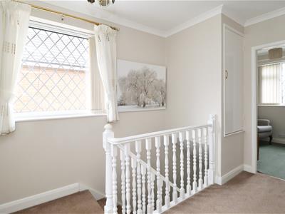 Picture 15